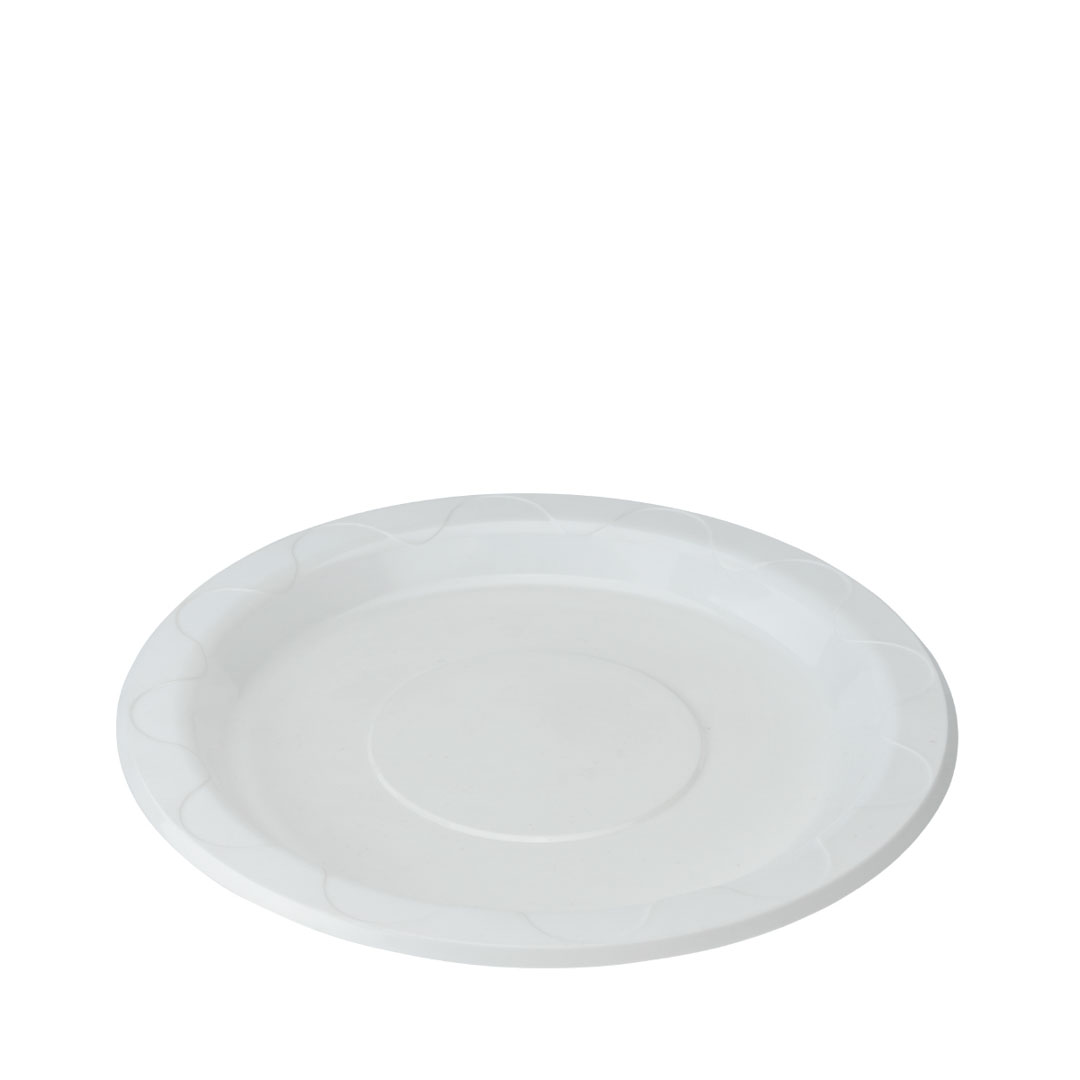 PPI-10 1/4" PLATE