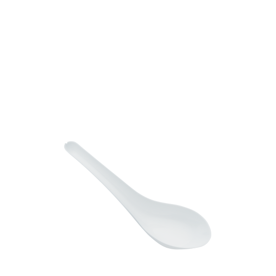 PPI-BIG SPOON