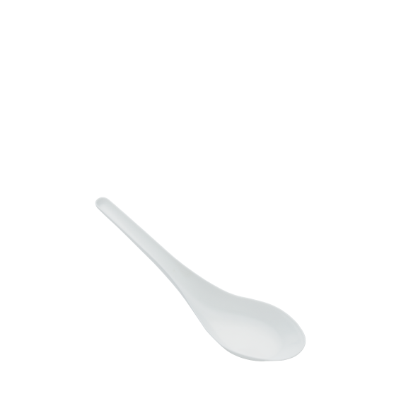 PPI - CHINESE SPOON A